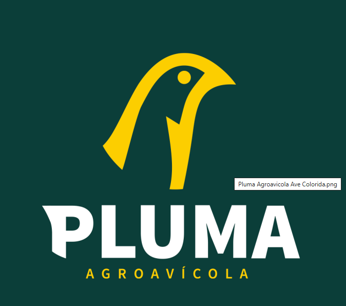 Logo Programa Conecta